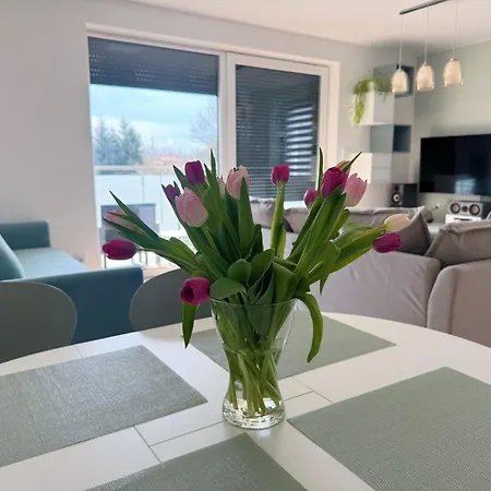 K13 Przy Swietokrzyskiej - - Wgh Rent Żywiec